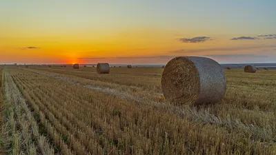 HD фотографии заката в поле