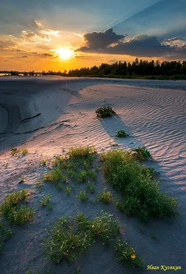 Пляжный закат: песок, море и бесконечность