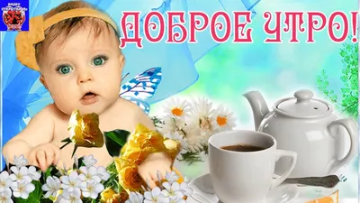 Волшебные фото, чтобы начать день с улыбки