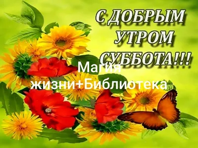 Картинки, чтобы поднять настроение утром