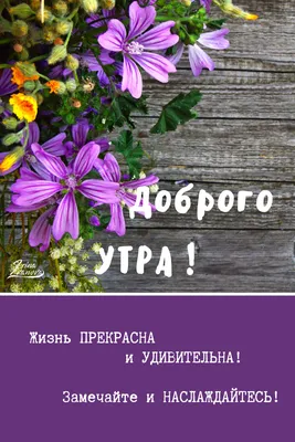 Изображение с добрым утром в Full HD