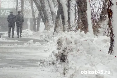 Фотографии снега: Лучшие моменты зимы