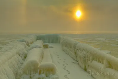 Уникальный момент: Замерзший уголок Черного моря на фото