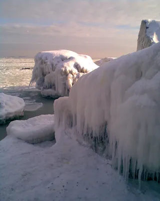 Замерзло черное море фотографии