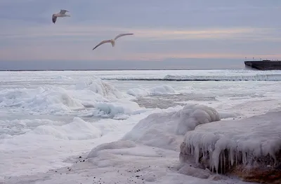 Фото: Замерзшее Черное море в формате 4K