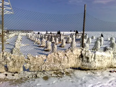 Зимний арктический рай на Черном море: фотографии, доказывающие, что сказки существуют.