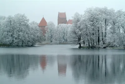 Замки зимой: Природная красота в формате WebP