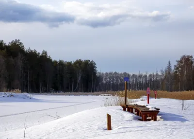 Красочные изображения заповедника Брянский лес