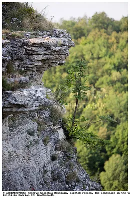 Красота природы: уникальные кадры Галичьей горы на фото