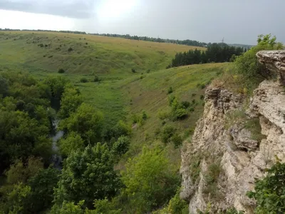 Удивительный мир горных пиков Заповедника Галичья гора