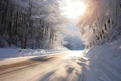 Великолепный пейзаж: заснеженный лес на фотографии