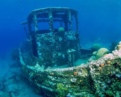 Фото затонувших кораблей черного моря - лучшие снимки морской истории