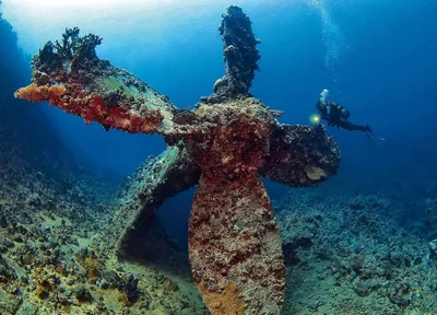 Подводные артефакты: Фотографии затонувших кораблей Черного моря