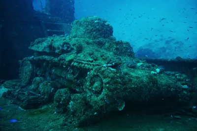 Исторический подводный музей: Затонувшие корабли Черного моря на фото