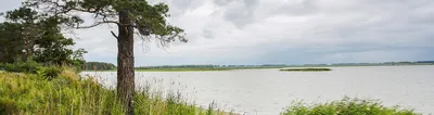 Завьяловские озера  фото