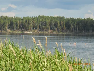 Чудеса Завьяловских озер на фотографиях: незабываемые впечатления