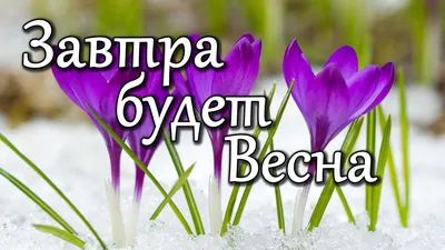 Фото весны, чтобы ощутить приближение тепла и свежести