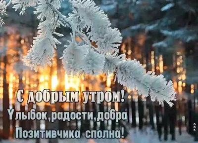 Зимняя гармония: Изображение Завтра зима в WebP