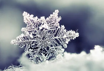 Зимний фон: Картинка Завтра зима в формате JPG