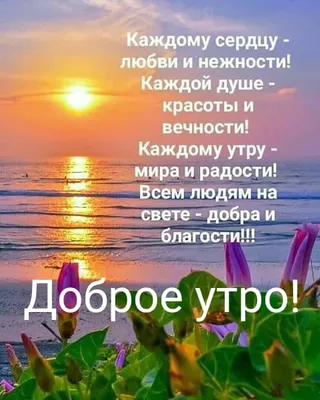 Здравствуй, утро! Фото, чтобы начать день с красоты