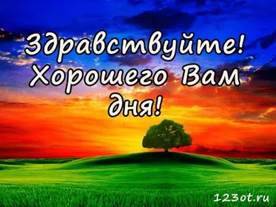 Фото в формате WebP для вашей страницы