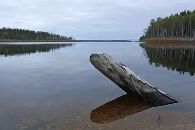 Удивительные картинки Зейского моря в высоком разрешении