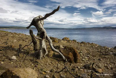 Фотографии Зейского моря на рабочий стол