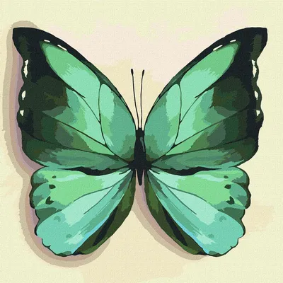 Изображение Зеленой бабочки для скачивания