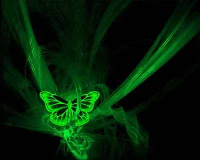 Фотография Зеленой бабочки в высоком качестве
