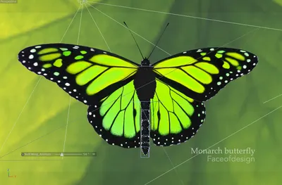 Уникальная картина с Зеленой бабочкой