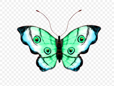 Уникальное фото Зеленой бабочки для использования в проектах