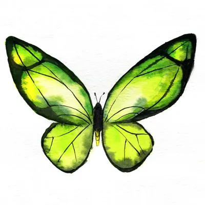 Фото Зеленой бабочки - настоящая находка для фотоколлекции