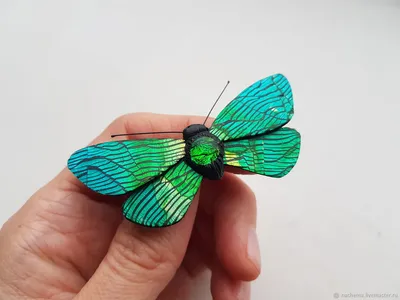 Уникальное фото Зеленой бабочки для создания уникальных композиций
