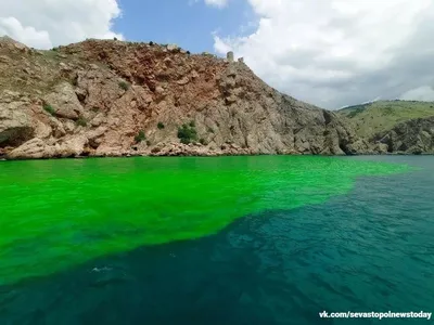 Зеленое море во всей своей красе: скачивайте фото бесплатно