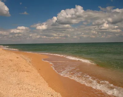 Морская симфония: захватывающие фотографии звуков Зеленого моря