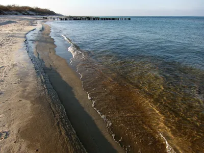 Величественное Зеленоградское море: красота на фото