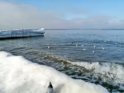 Подарок для глаз: фоторепортаж о Зеленоградском море