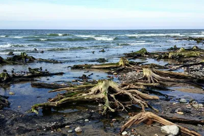 4K фото Зеленоградского морского берега