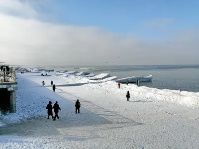 Фотки Зеленоградского моря: Живописные моменты зафиксированы