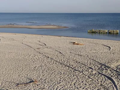 Фотографии Зеленоградского пляжа: отражение красоты моря