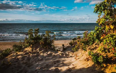 Фотографии Зеленоградского пляжа: воплощение спокойствия и гармонии