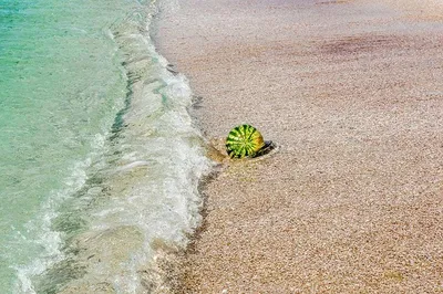 Зеленоградск пляжа: фотографии, которые окунают в атмосферу моря
