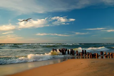 Арт-фото пляжа Зеленоградска в формате JPG