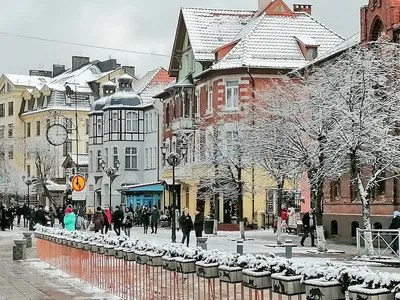 Фотоизображения Зеленоградска зимой: Морозные моменты красоты