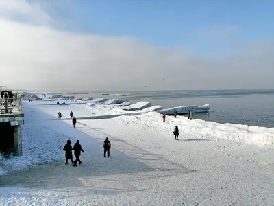 Зеленоградск зимой: Загадочные пейзажи в формате JPG