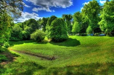 Зеленый пейзаж  фото