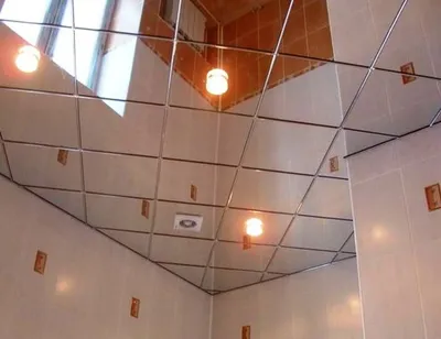 Уникальные ванные комнаты с зеркальными потолками