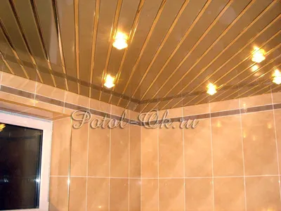 Скачать бесплатно фото зеркальных потолков в ванной