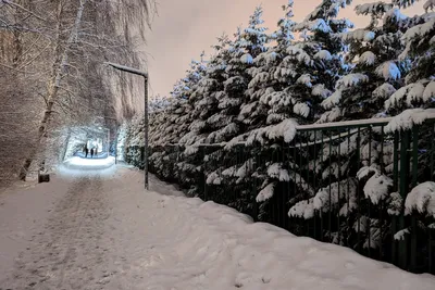 Весенний фотоархив: фотографии, чтобы сохранить воспоминания о весне