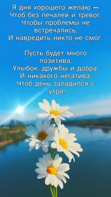 Картинки желаю прекрасного дня: скачать бесплатно в хорошем качестве (JPG, PNG, WebP)